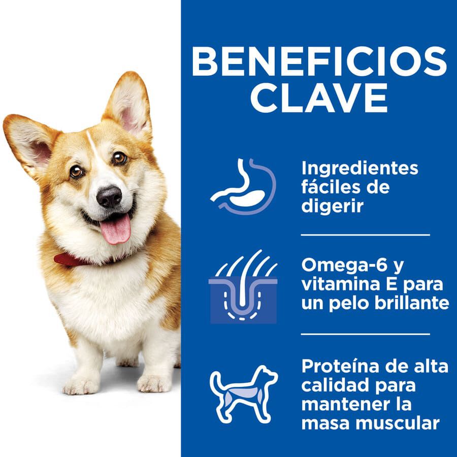 12 sobres x 80 g Hill's Science Plan Adult Small & Mini Estofado de Pollo Sobres para perros &iexcl;Pack ahorro!, , large Imagen numero 4